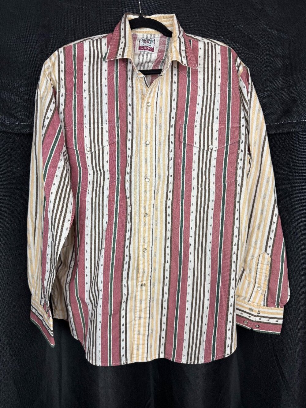 Cowboys Turtle Association  Long Sleeve Western Shirt (Description for sizing)